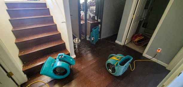 Best Carpet water damage restoration  in Ewa Beach, HI