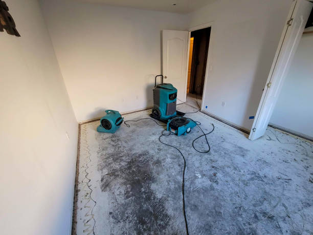 Best 24/7 water damage repair  in Ewa Beach, HI