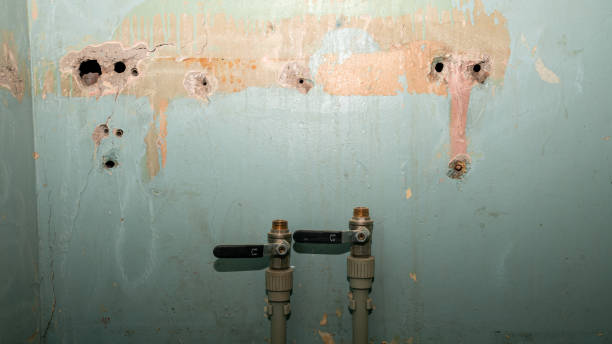 Best Water damage contractors near me  in Ewa Beach, HI