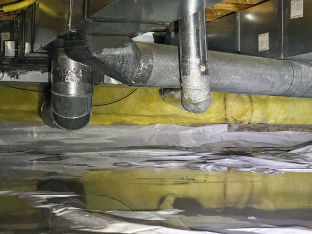Best Water damage cleanup near me  in Ewa Beach, HI