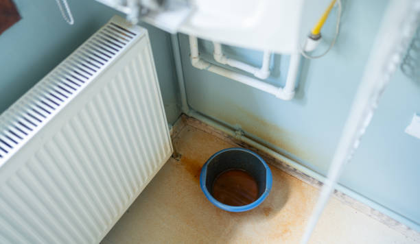 Best Local water damage restoration  in Ewa Beach, HI